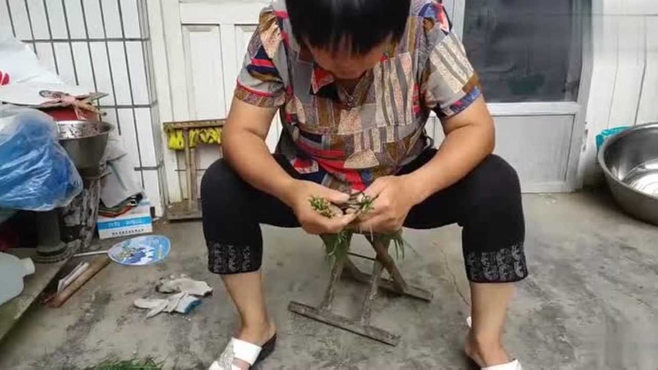 农小飞日常趣事,爱与陪伴的温馨时光