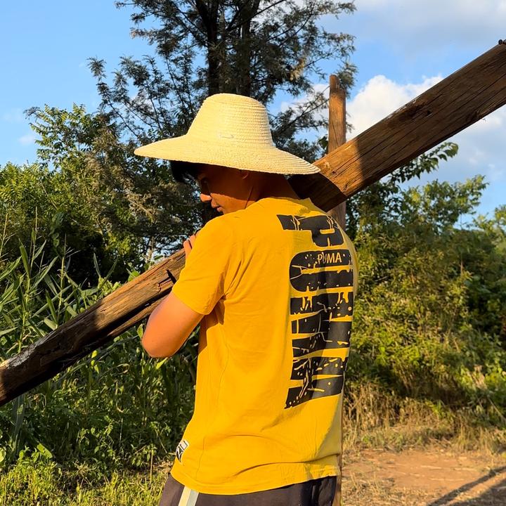 农小飞日常趣事,爱与陪伴的温馨时光