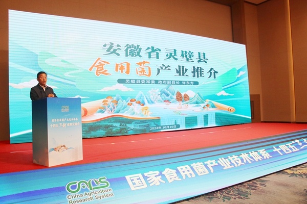 澳门王中王六码新澳门,化学工程与技术_Allergo版(意为轻快)36.694