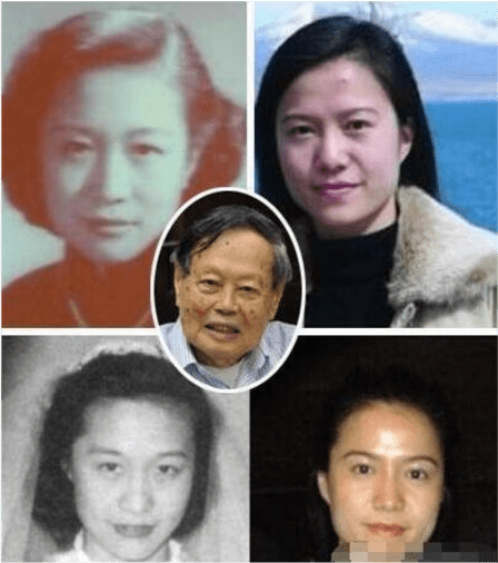 翁帆最新照片引发公众关注与个人选择热议