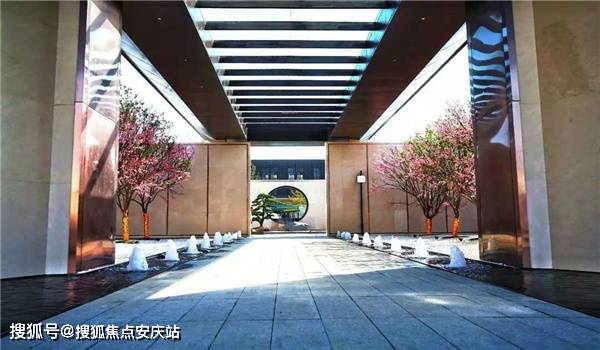 弁林翰最新动态,学习之旅中的变化与自信成就之源