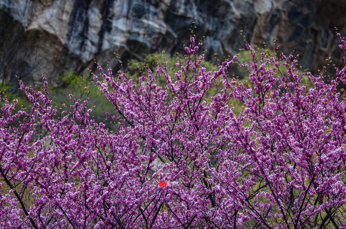 香港最准最快资料免费,理论考证解析_单独版29.874
