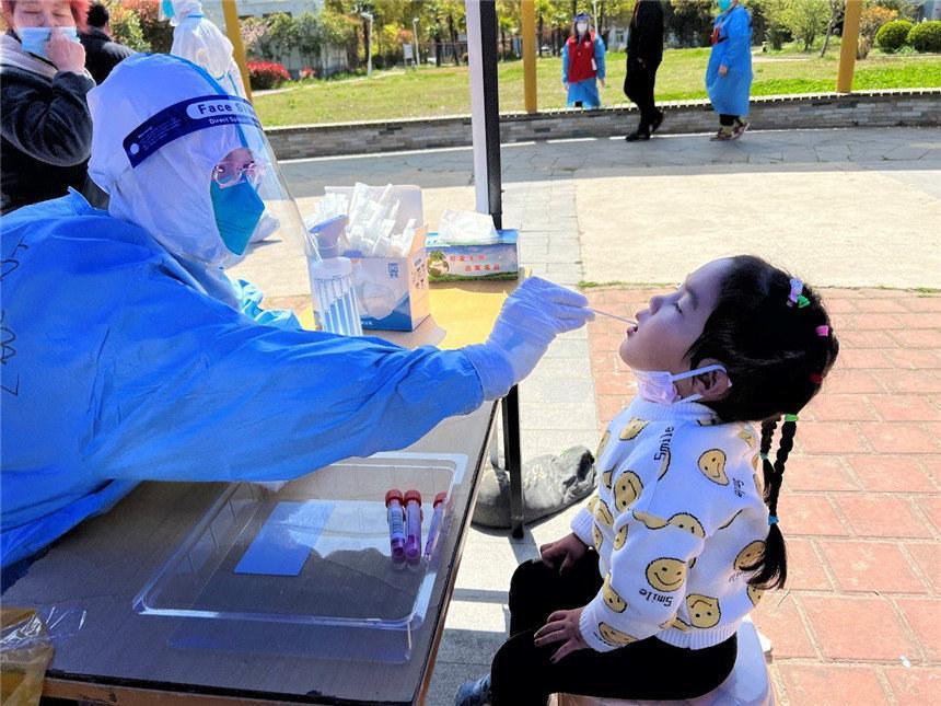 最新规定核酸检测详解,全面解读与要点分析