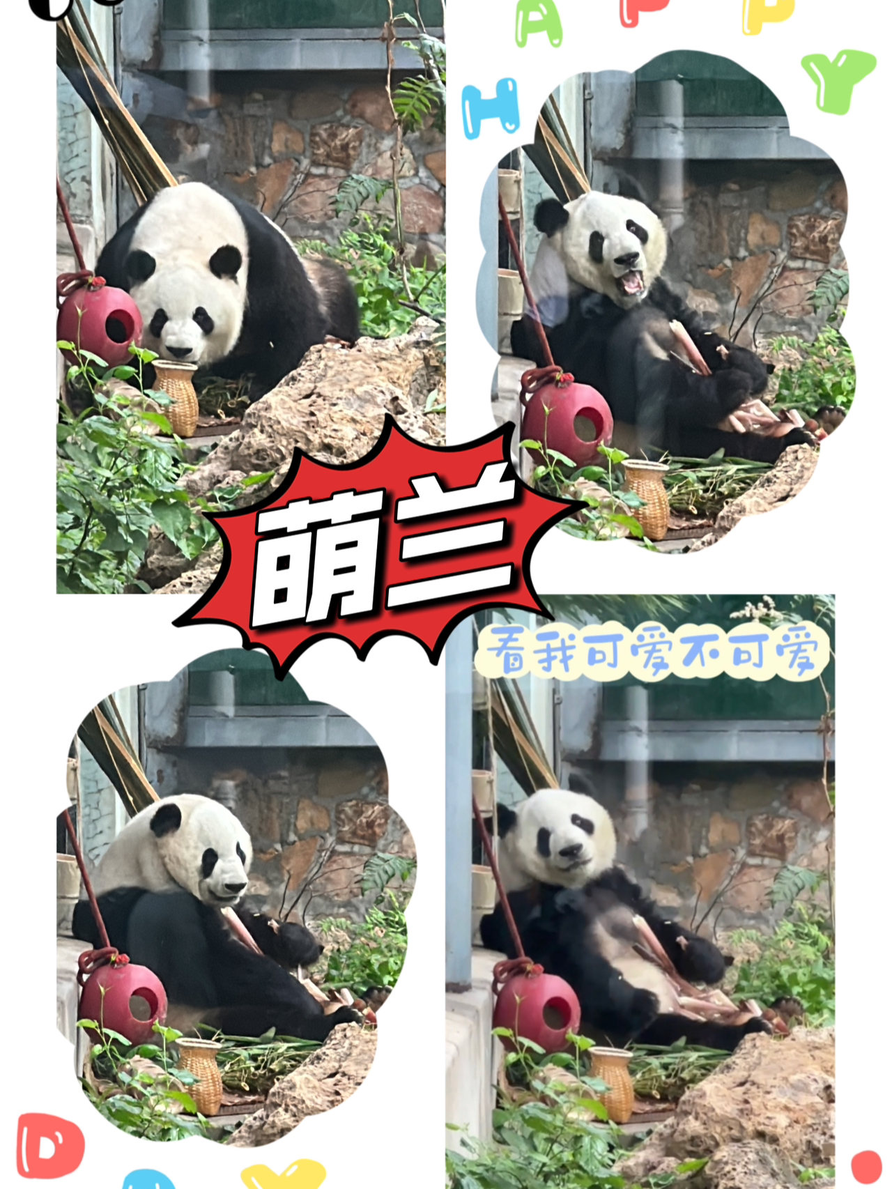 萌兰最新攻略,背景回溯、重大事件与时代地位深度解析