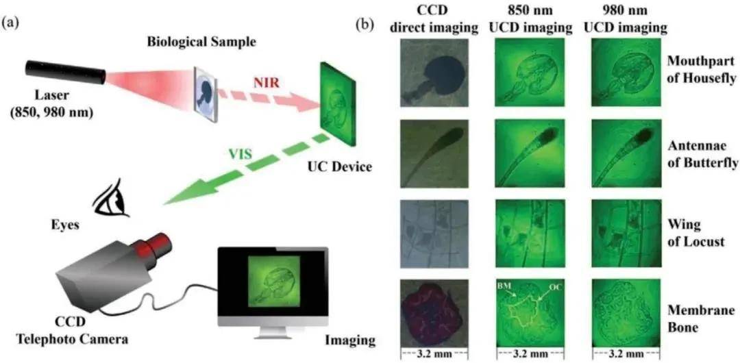 最新成像电法的探索与应用