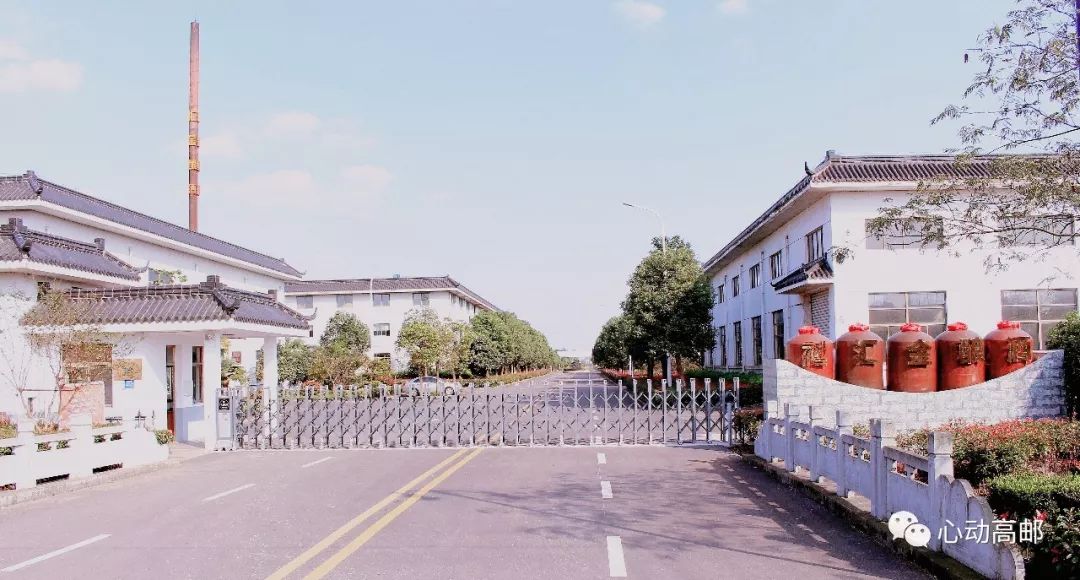 高邮最新农村的崛起与变迁，新面貌下的农村振兴之路