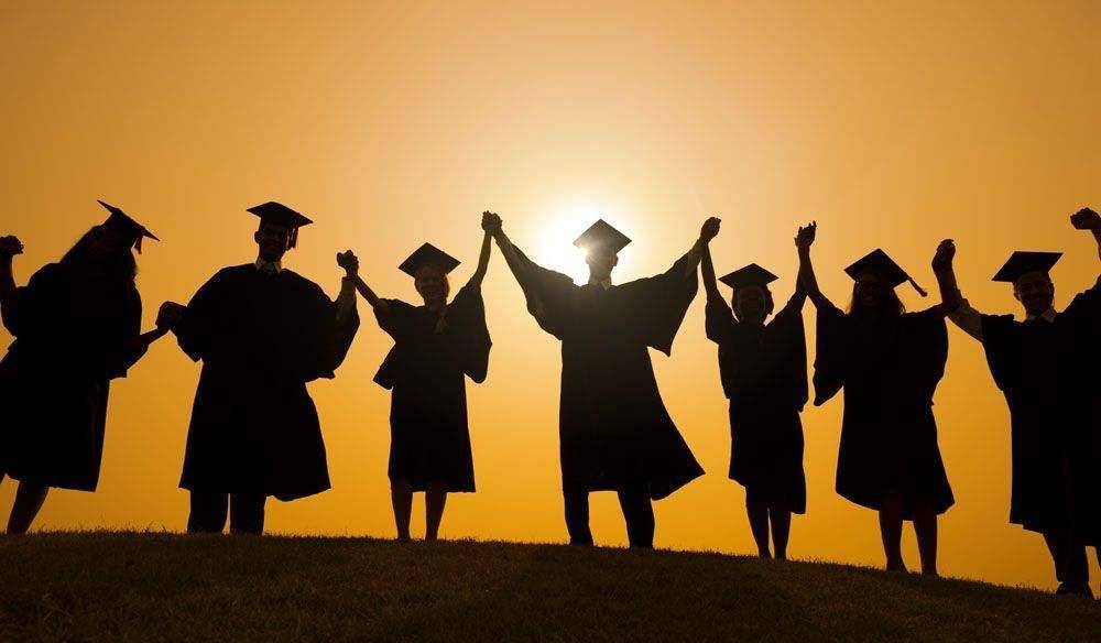 2024年资料大全免费,全身心解答具体_DIY版29.883