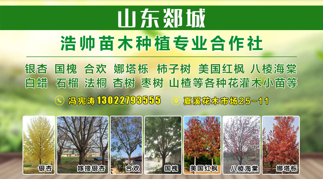 绿植热爱者集结！最新苗木招聘，共筑美丽中国绿意梦