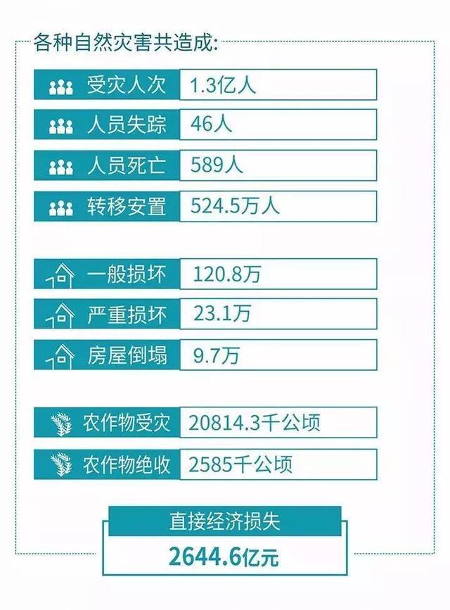 最新感人数据,时代温情的力量揭示