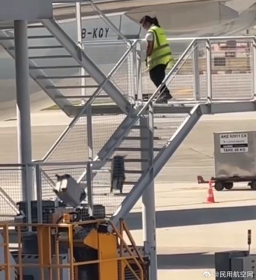 地勤最新情况，小巷中的隐藏瑰宝揭秘