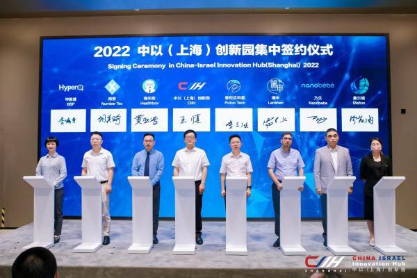 最新病毒升级,最新病毒升级,详细步骤指南