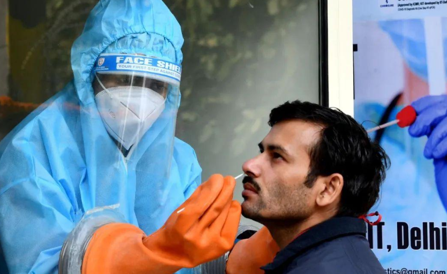 中国最新冠疫情下的自然之旅，寻找心灵的宁静与平和