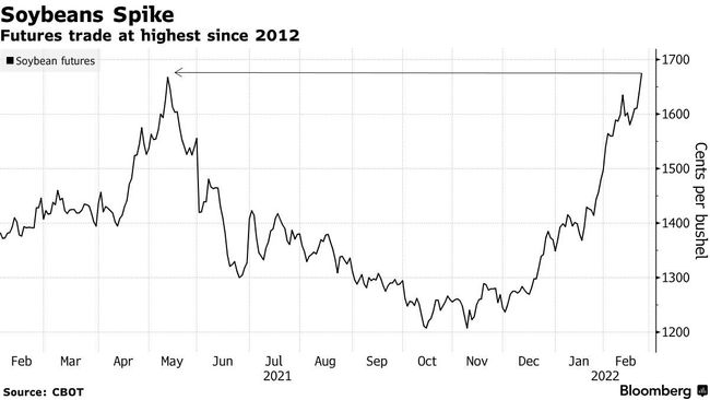 黄豆期货最新行情,市场走势分析与展望