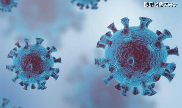 新澳门免费资料大全在线查看,專家解析意見_可靠性版15.467