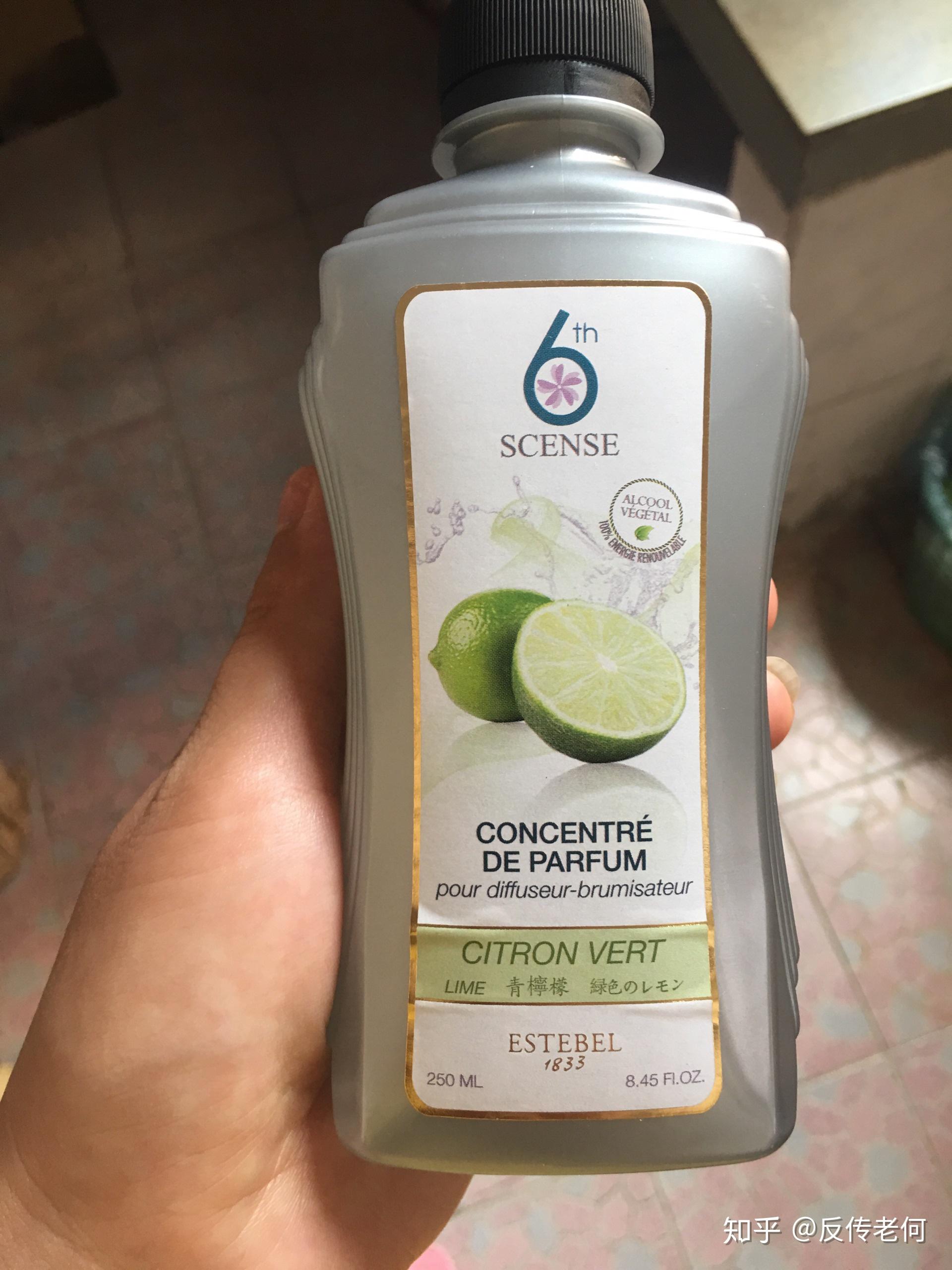 诗贝朗最新论述概览