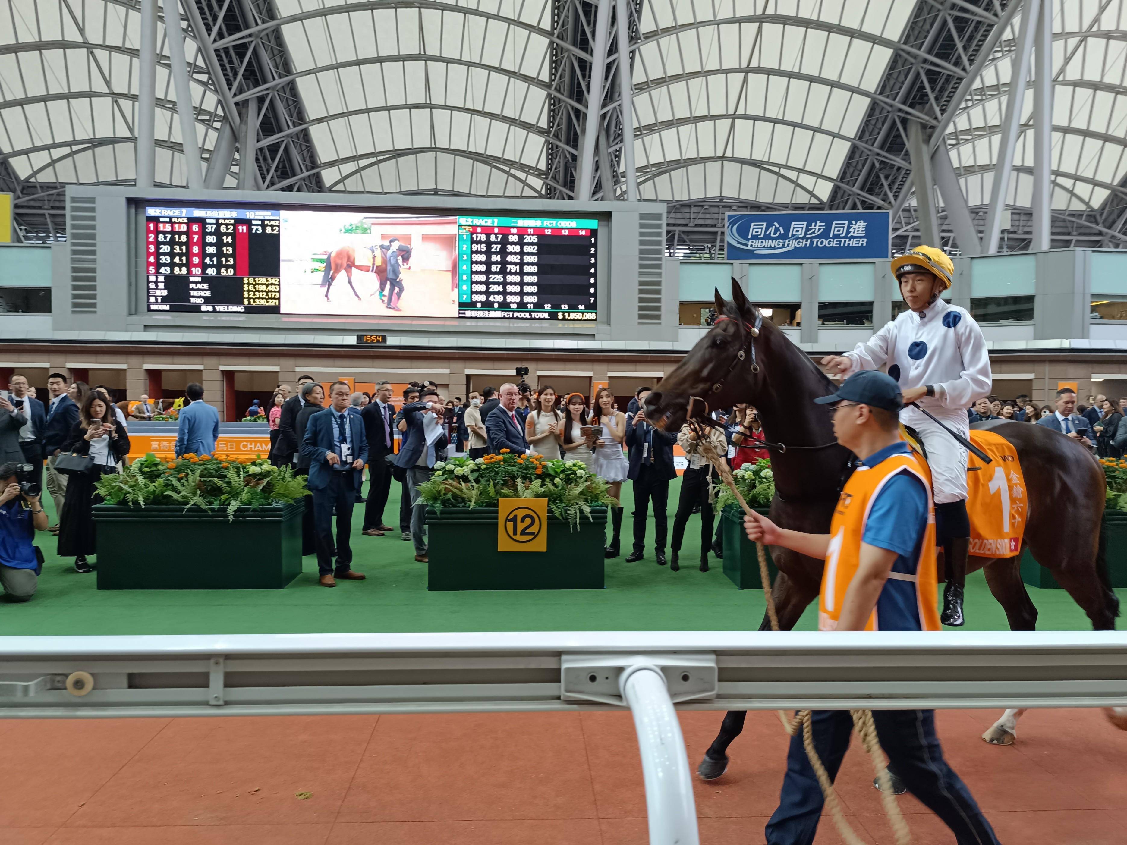 马会传真论坛13297соm查询官网,实地应用实践解读_专属版11.530