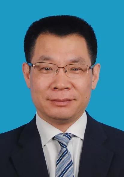 2024新奥精准正版资料,专业解读评估_随身版58.508