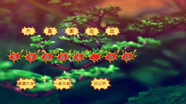 2024澳门精准跑狗图,全身心解答具体_专属版31.672