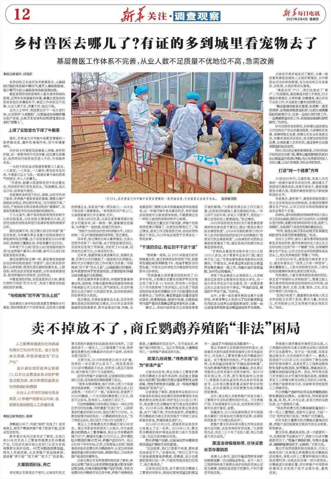 揭秘濠江79456最新版本更新内容,行动规划执行_本地版45.932