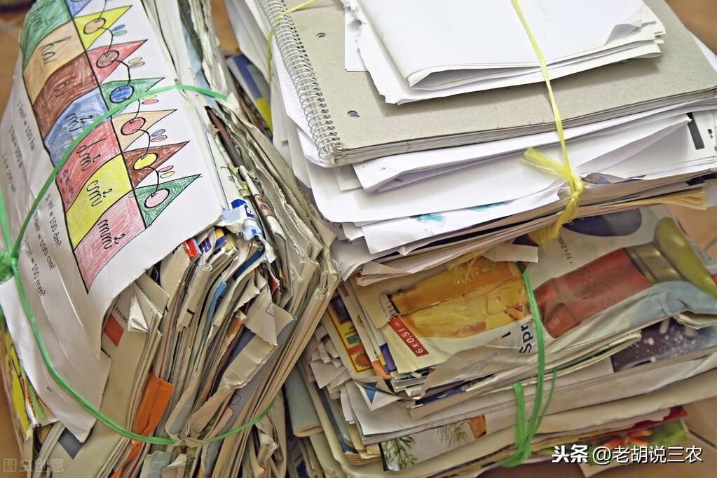 最新废纸价格信息,市场走势分析与预测报告