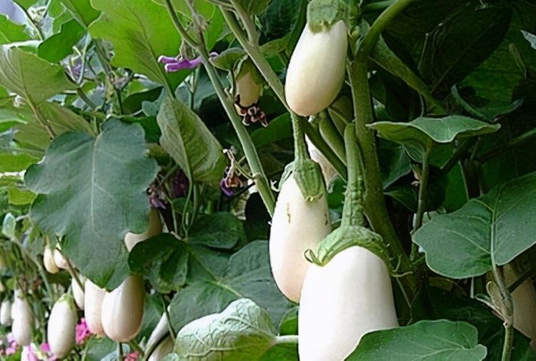 工程机械设备价格 第170页