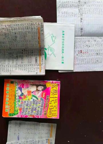 正宗香港内部资料,全身心解答具体_赛博版79.792