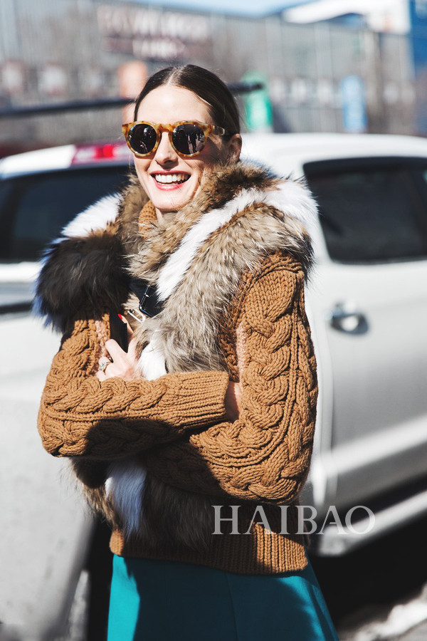 欧美最新人与动物动态报道