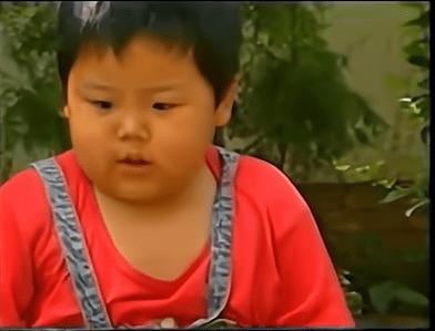 陈晨的彩色日常,爱与陪伴的温馨时光之旅