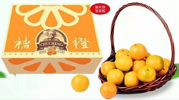 褚时健最新动态，果园里的快乐时光揭秘