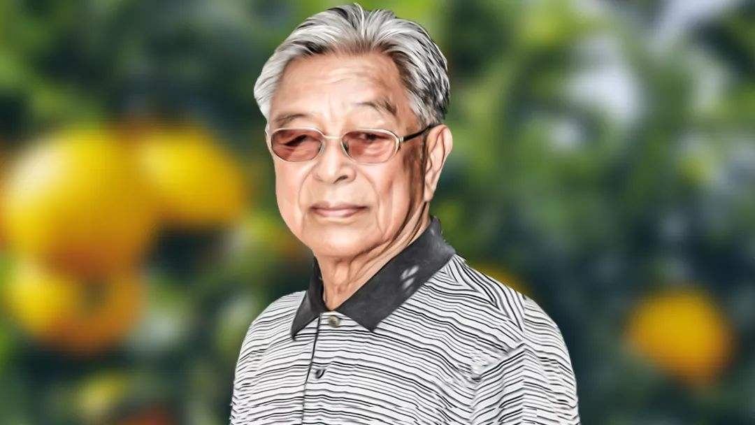 褚时健最新动态,果园里的快乐时光揭秘