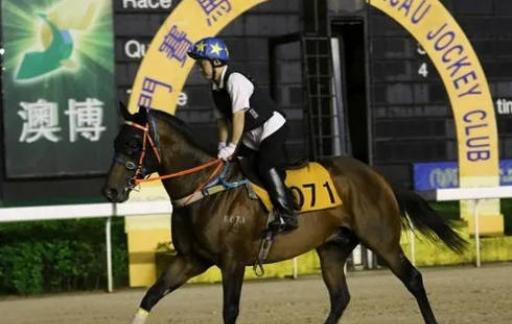 洛阳工程机械协会的职责 第168页