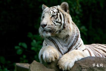 工程机械设备价格 第164页