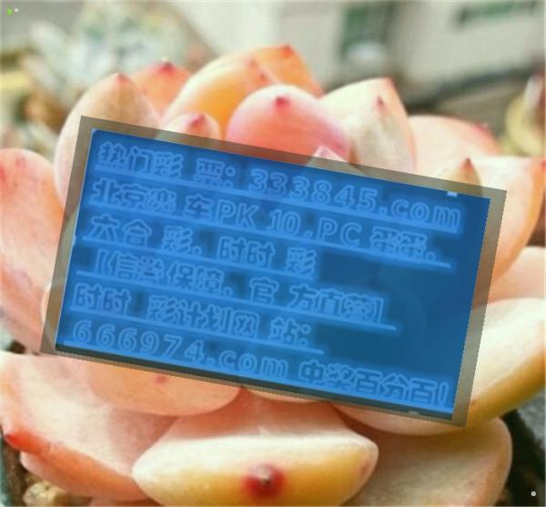 管家婆一码一肖资料免费大全,深究数据应用策略_环保版54.946