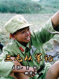 三毛从军记演员表大全