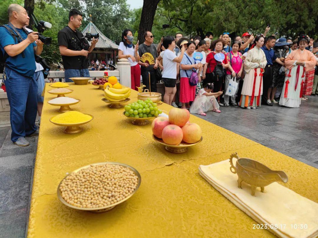 太原古筝比赛，传统魅力的璀璨绽放