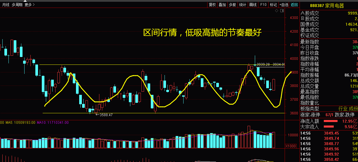 个股独立行情下的温馨故事