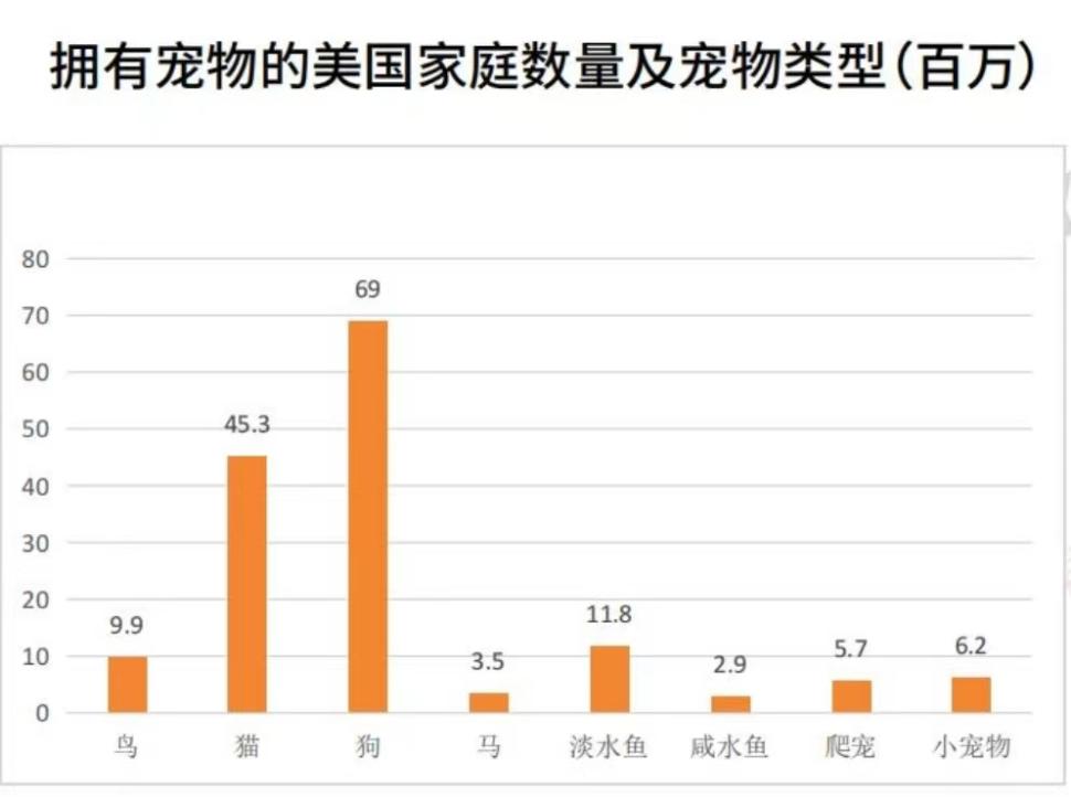宠物用品市场繁荣趋势及前景展望，行情分析与展望