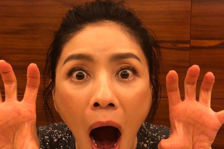 般若关中老人动态，多元视角下的观察与思考