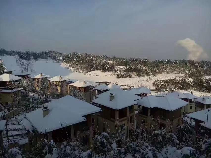 綦江租房信息一览,优质房源等你选!