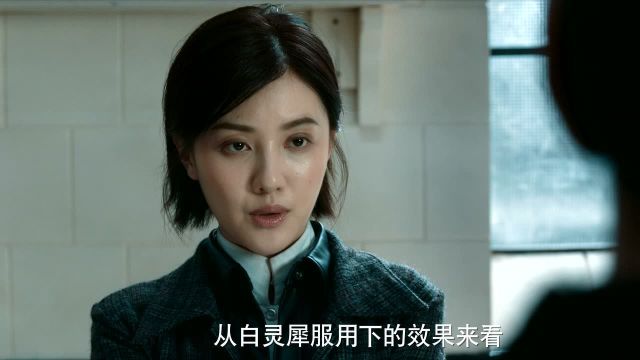 女探长电视剧，展现女性智慧与勇气的荧幕风采