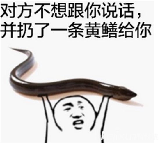 黄鳝直播最新资讯报道