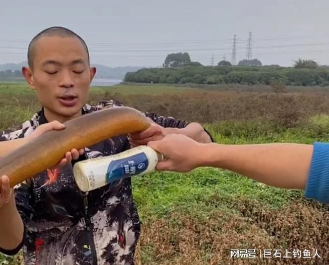 黄鳝直播最新资讯报道