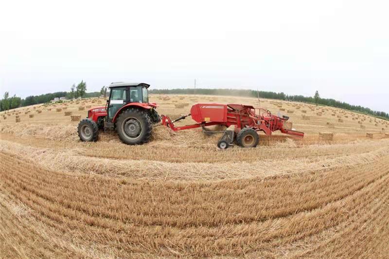 开封市畜牧局最新动态，牛羊鸡鸭齐发展，推动畜牧业持续发展