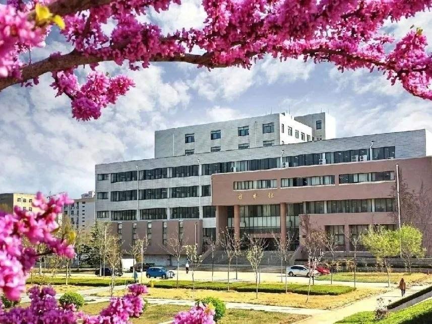 山东煤炭最新市场动态与行情分析