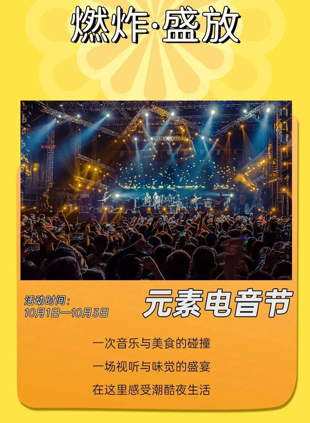 银河玖乐手机版下载,小巷中的音乐宝藏探秘之旅