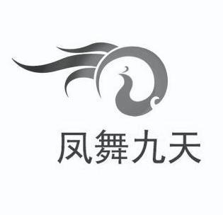 时代变迁中的腾飞之舞,最新凤舞九天