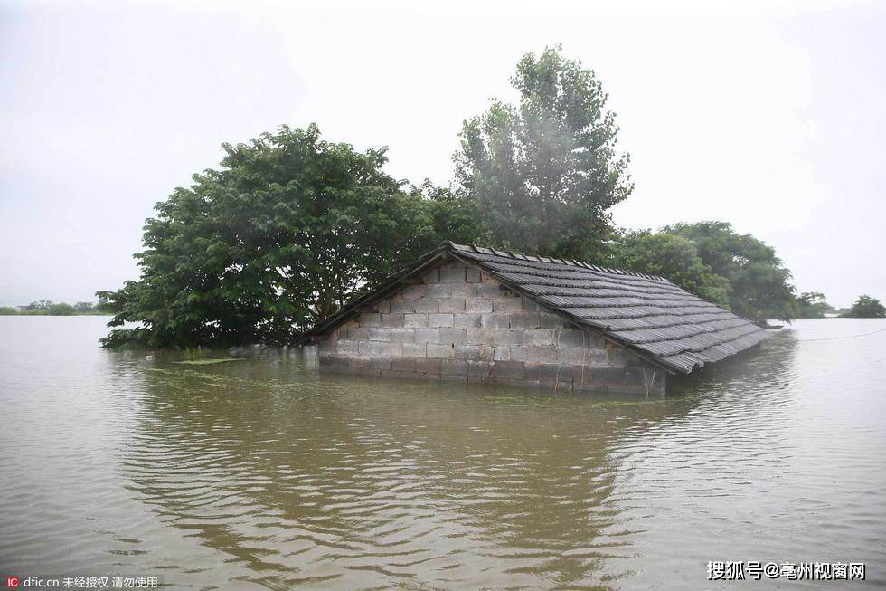 最新洪水灾害应对指南,初学者进阶用户必备知识