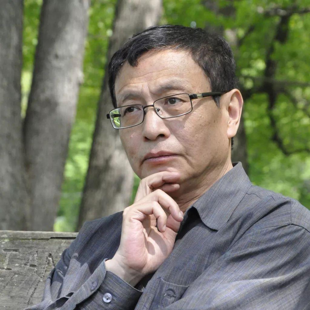 逆境重生与逆袭,弃少归来风采再现的故事