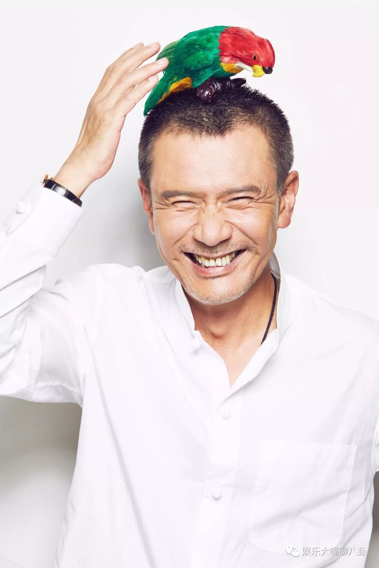 姚安濂倾情代言，高科技产品全新登场亮相！