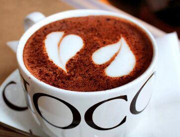 时光里的世界之饮，咖啡资讯全掌握